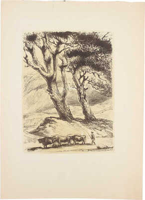 Клементьева Ксения Александровна. Осетия